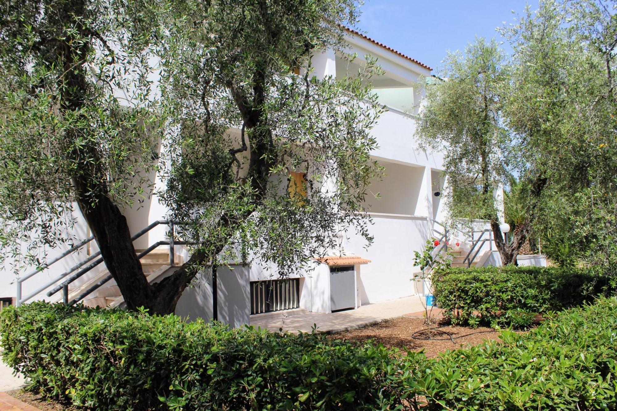 Hotel Palme Gemelle Vieste Exterior foto