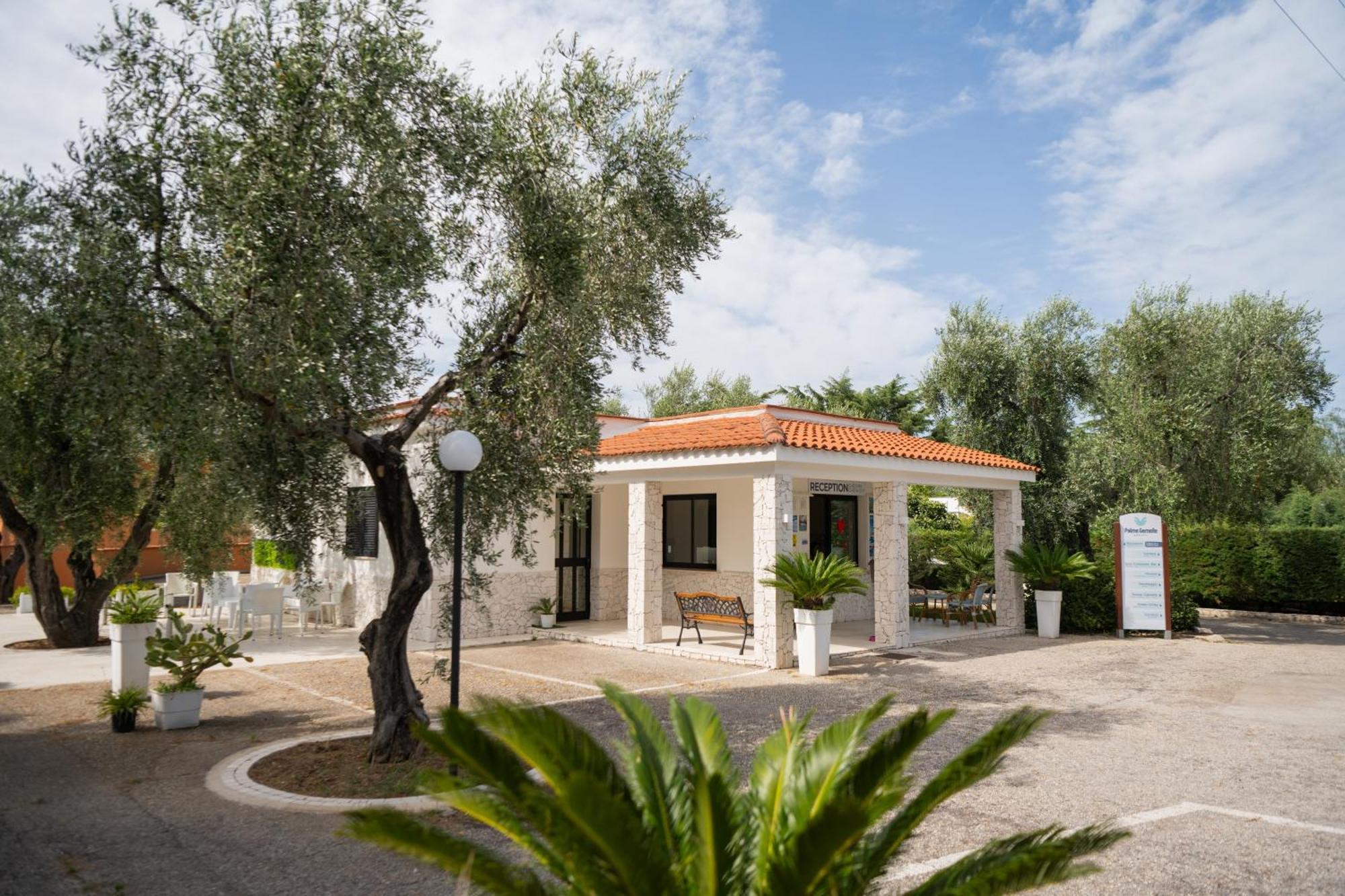 Hotel Palme Gemelle Vieste Exterior foto